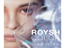 新しいカラエク新登場！