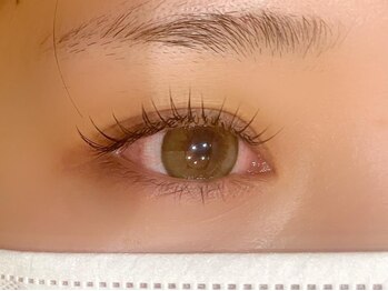 アングゥ ウル(ungu ul)/フラットラッシュ