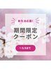 新生活応援☆フェイシャルコルギ+ドライヘッドスパ 70分 ¥4,900