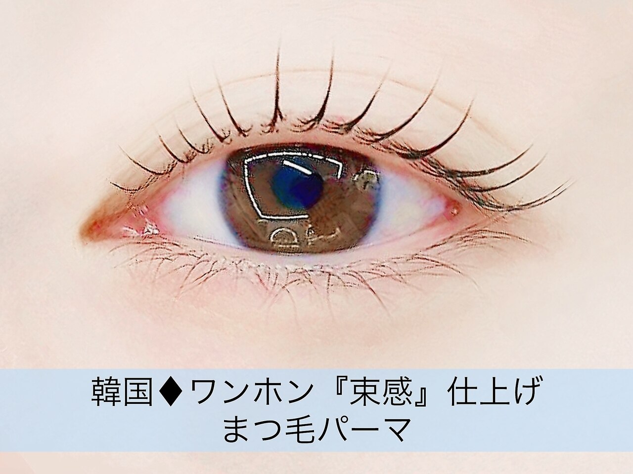 《圧倒的持続感◎抜け感×モテ顔》韓国◆ワンホン『束感』仕上げまつげパーマ