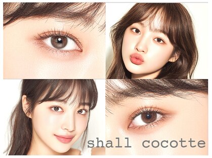 シャルコット(shall cocotte。)の写真