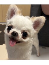 リンクス(LINKS eyelash) なかむら