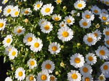 スマイルデイズ(Smiledays)/店内風景☆