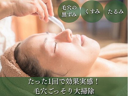リカの写真