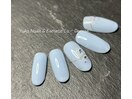 シルバーコース （定額制）¥6500