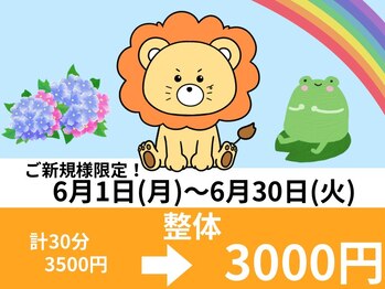 らいおん整骨院 府中店/キャンペーン