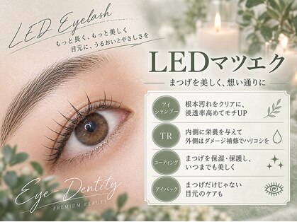 アイデンティティ 福島の写真