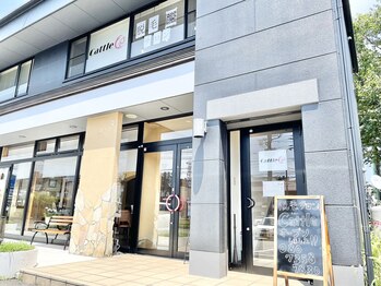 キャトル(Cattle)/外観