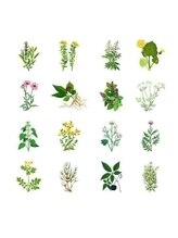 ヨサパーク ビューティスマイル(YOSAPARK BeautySmile)/◆リラクゼーション