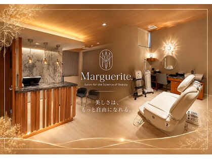 マルグリット(Marguerite.)の写真