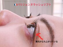 サロン ド グランデール 鳳店/パリジェンヌラッシュリフト