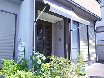 ウィステリア(wisteria)/