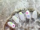 定額Bサンプル