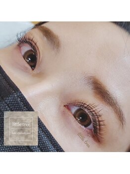 リトルツリー(little tree)/マツエク