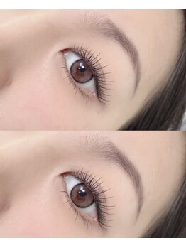 パンダアイラッシュ 上野(panda eyelash)/フラットラッシュ/ワンホン