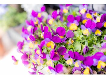 リー(Re)/季節の花たち