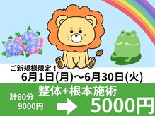 らいおん整骨院 府中店/キャンペーン