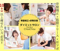 シュシュ