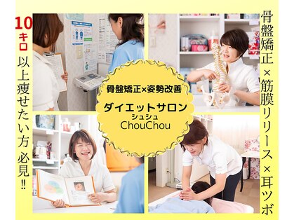 シュシュの写真