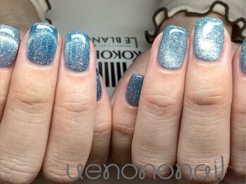 ウエノノネイル 上野(uenononail)/マグネットフラッシュカラー