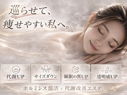 キララ(Kirara)の写真