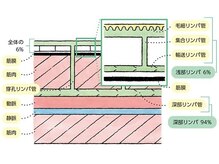 ヨサパーク グランス(YOSA PARK glans)/リンパマッサージは深部を流す！