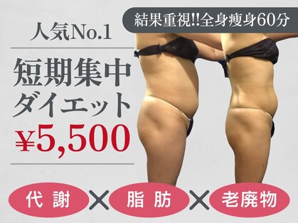 セラピアの写真