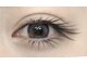 ユユサロン(youyu salon)の写真/付け放題60分¥4900~【LEDマツエク,パリエク/フラットラッシュ,ボリュームラッシュ/上下,ワンホン,束感等】