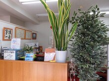 健友館ゆうき整体院/緑の多い癒される空間