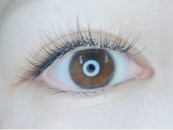 ニコル(nicolu)/ナチュラルまつ毛エクステ