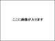 Searlin Nail 新宿店【長さだし・持ち込み・マグネット】の写真/チップ長さだし×持ち込みデザインで理想以上の指先へ♪韓国/ワンホン/トレンドネイルまで幅広く対応します