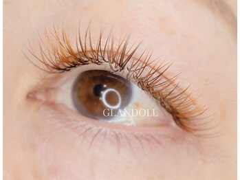 グランドール(GLANDOLL)/perfect lash120束
