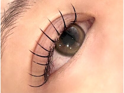 ティエ(tie.)の写真