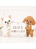 口コミ投稿用クーポン