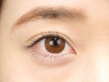 パティオアイラッシュ(Patio eyelash)/シングルラッシュ　セーブル上下