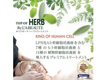モア ナチュラ(more natura)の雰囲気（本気で肌改善！肌土台から結果にこだわる肌育！ハーブ/小顔/艶肌）