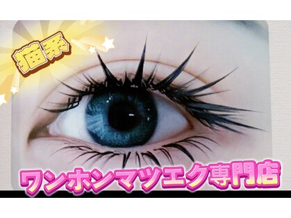 アオイ アイラッシュ 大久保店の写真