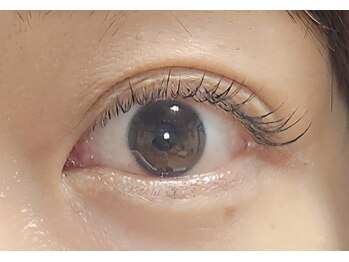 ジャポネスク(JAPONESQUE)/フラットラッシュ