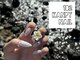182カンピーネイル(182Kanpynail)の写真