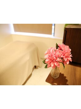 デリケート部分の脱毛/Vライン/VIO