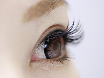 プティ アンジュ/フラットセーブル