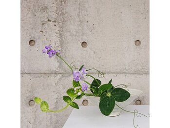 リラクゼーションサロン リッカ(Licca)/