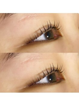 ジョリー(Jolie)/一重さんの立ち上げ