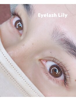 アイラッシュリリィ(Eyelash Lily)/ブラウンエクステ／eyelash lily