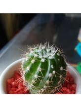 ヨサパーク そら(YOSA PARK)&nbsp;金 井