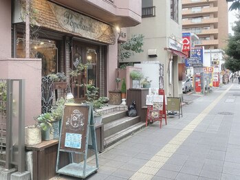 アンバー(ambre)/道案内