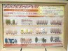 【パラジェルハンド】お得な定額キャンペーン・デザインネイル