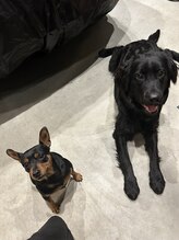 ポルトボヌール(PORTE BONHEUR)/飼っているワンちゃんです☆