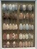 全員◎　Jrネイリスト古川　定額4400円≪新規様オフ込み♪≫