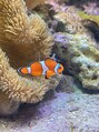 ベラ 吉祥寺(Bella) 水族館が好きなのでよく行きます!